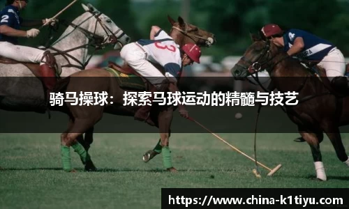 k1体育官方网站